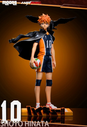Shoyo Hinata