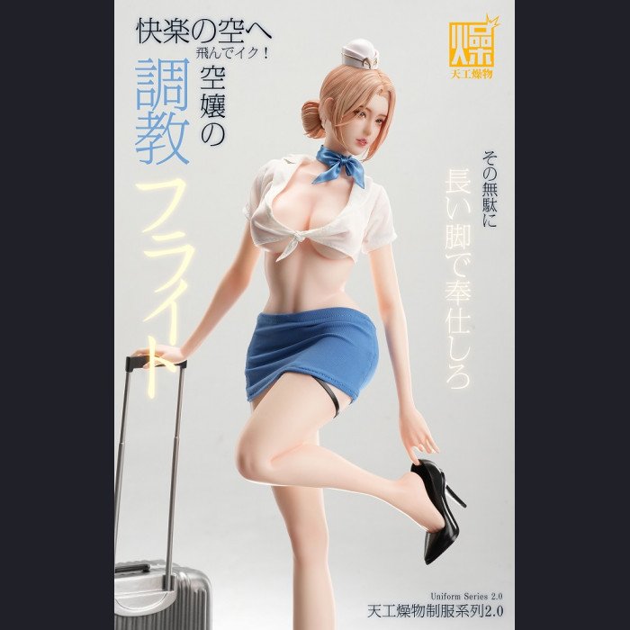 Tiangong Zaowu - Flight Attendant 2.0 - Tiangong Zaowu 2.0 Series
