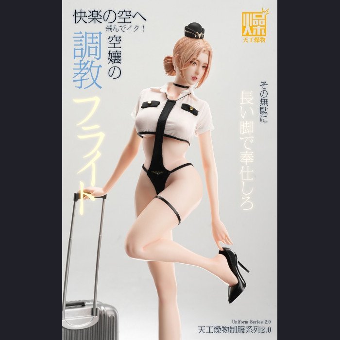 Tiangong Zaowu - Flight Attendant 2.0 - Tiangong Zaowu 2.0 Series