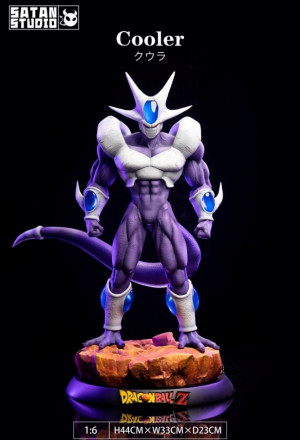 Cooler