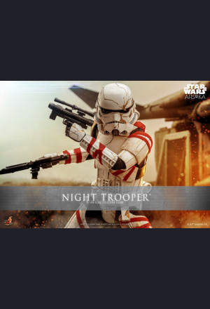 Hot Toys TMS121 1/6 Scale NIGHT TROOPER™