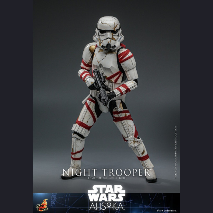 Hot Toys TMS121 1/6 Scale NIGHT TROOPER™