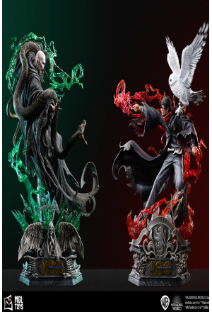 Harry Potter vs Lord Voldemort