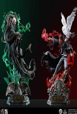 Harry Potter vs Lord Voldemort