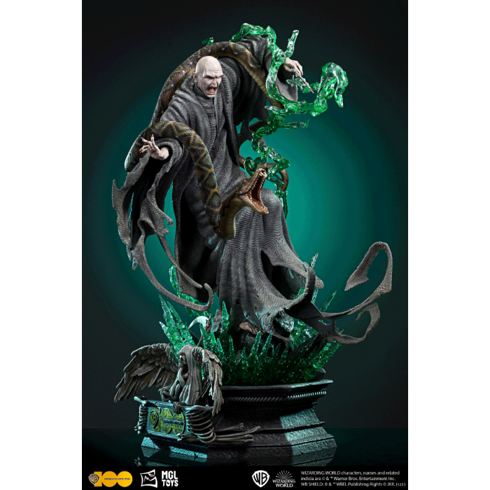 Harry Potter vs Lord Voldemort