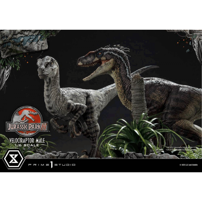 Prime 1 Studio LMCJP-10 1/6 Velociraptor Male - Jurassic Park III (Film)