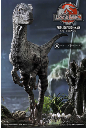 Prime 1 Studio - LMCJP-11 Velociraptor Female - Jurassic Park