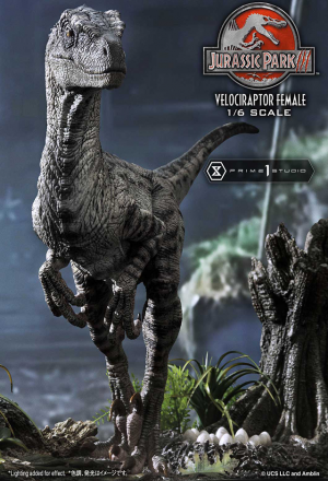 Prime 1 Studio - LMCJP-11 Velociraptor Female - Jurassic Park