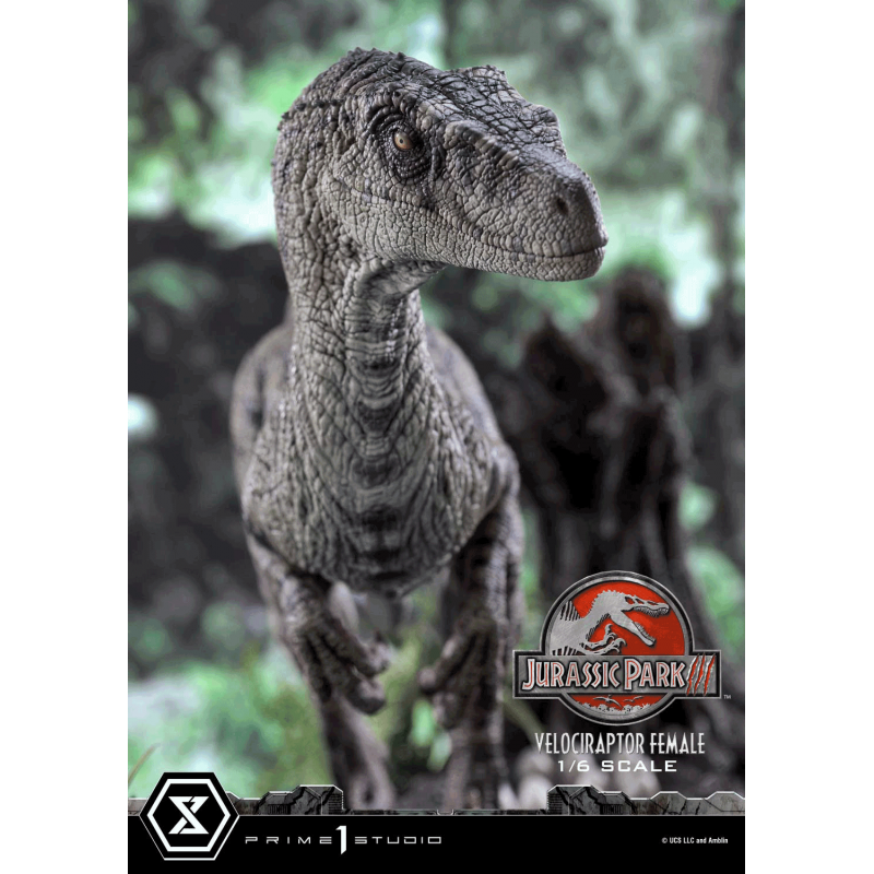 Prime 1 Studio - LMCJP-11 Velociraptor Female - Jurassic Park