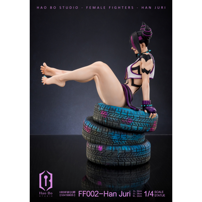 HBS (Hao Bo Studio) - Han Juri - Street Fighter (SF)
