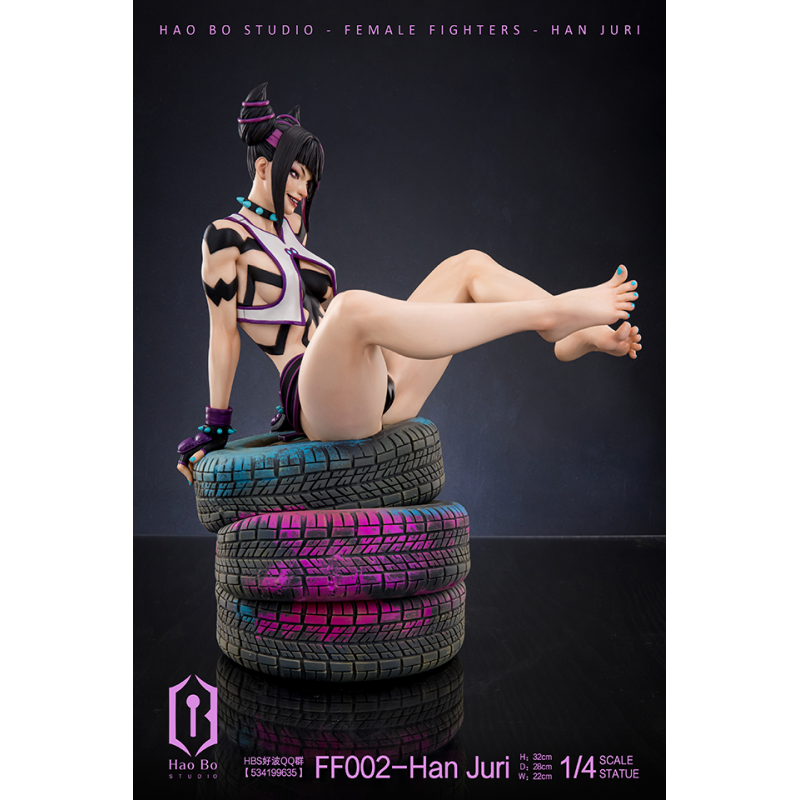 HBS (Hao Bo Studio) - Han Juri - Street Fighter (SF)