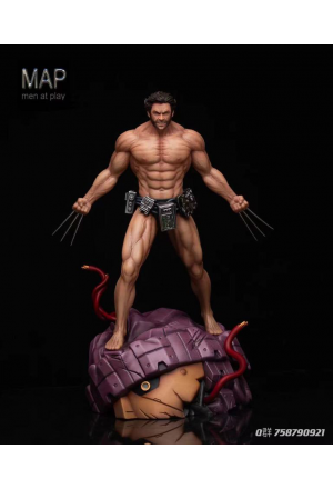 MAP Studio (Men At Play) - Wolverine