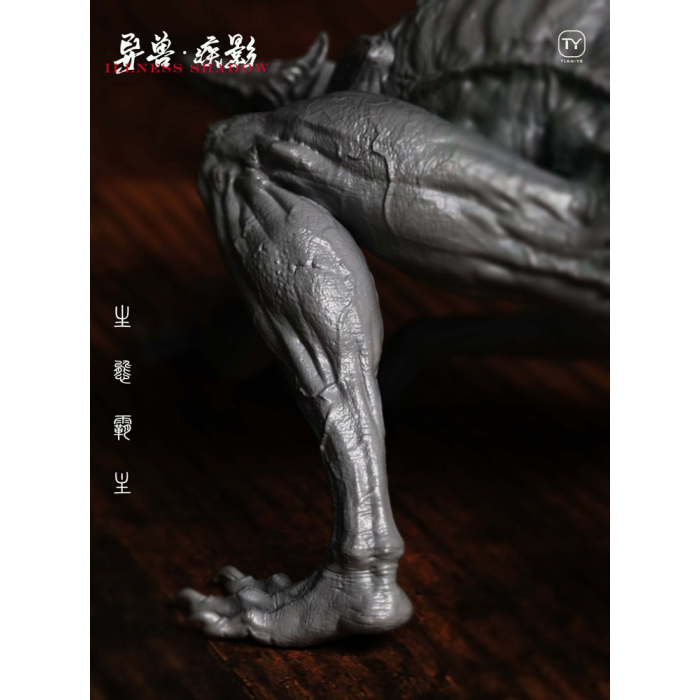Tian Ye Studio - Illness Shadow (Kit)