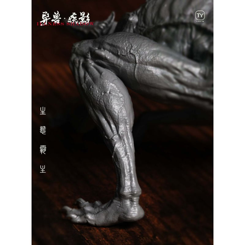 Tian Ye Studio - Illness Shadow (Kit)