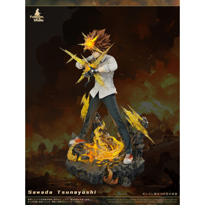 Freedom Studio - Sawada Tsunayoshi - HITMAN REBORN!