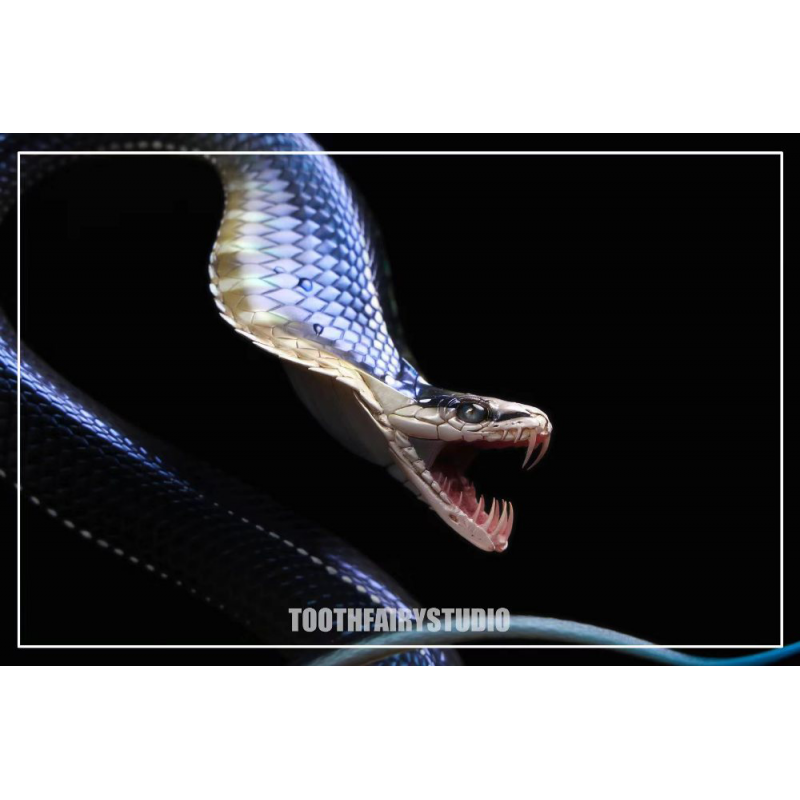Tooth Fairy Studio - Boning Knife Snake
