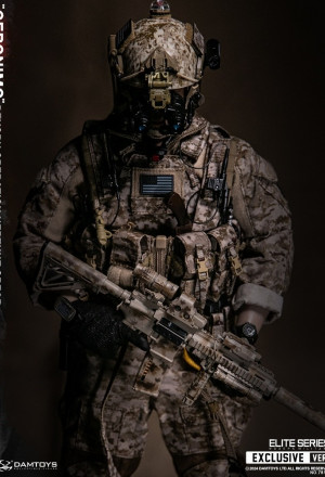 DAMTOYS 78106 1/6 Scale DEVGRU Operation Neptune Spear “GERONIMO”