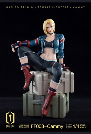 Balance - HBS - Cammy – Street Fighter