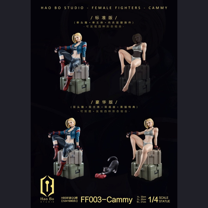 HBS - Cammy – Street Fighter