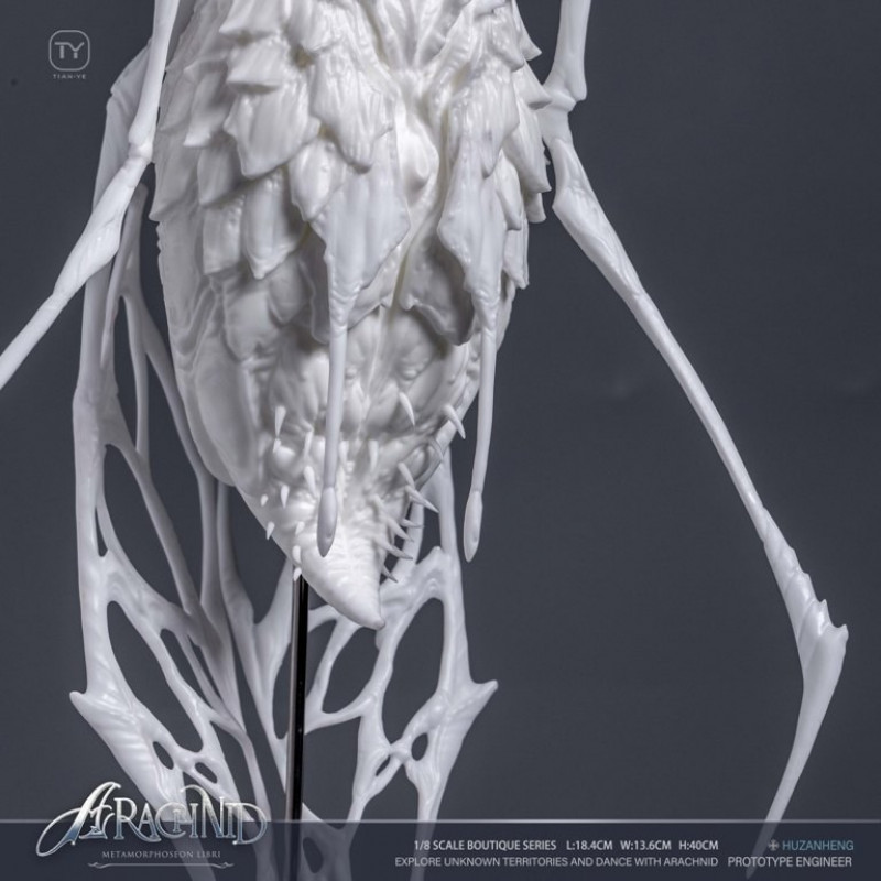 Tianye Studio - Arachnid