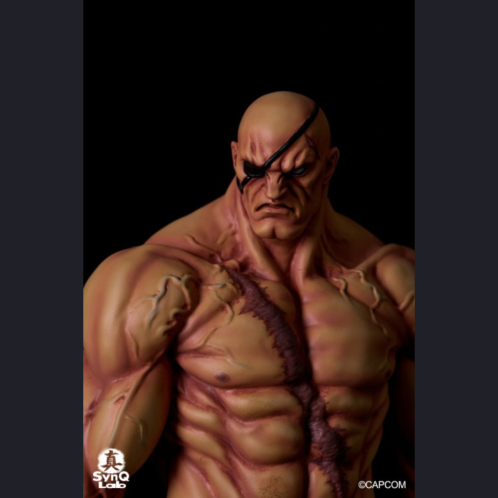 SynQ Lab Collectable - Sagat – Street Fighter II