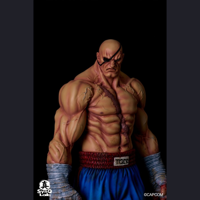 SynQ Lab Collectable - Sagat – Street Fighter II
