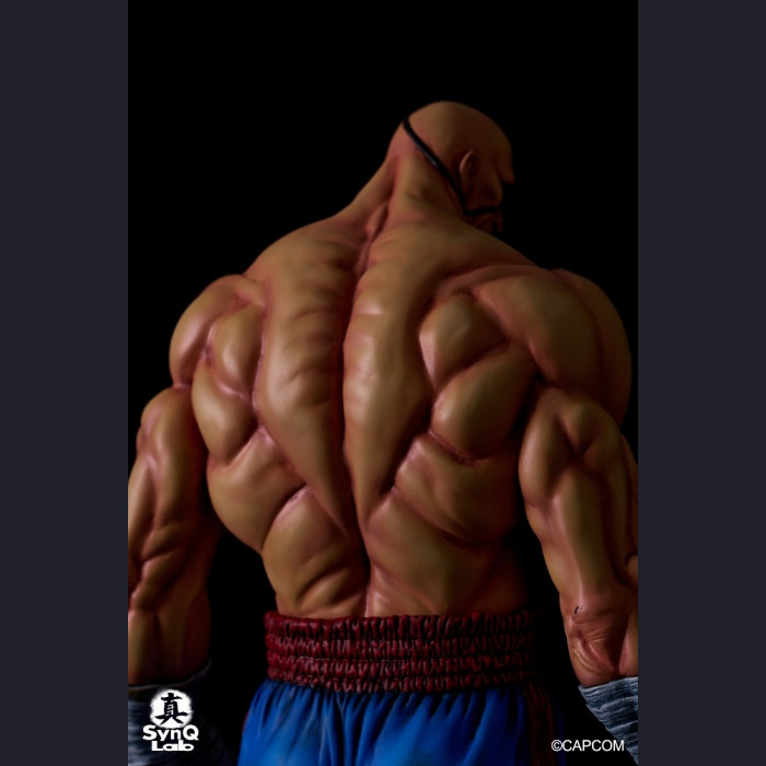 SynQ Lab Collectable - Sagat – Street Fighter II