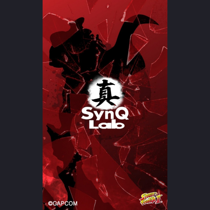 SynQ Lab Collectable - Sagat – Street Fighter II