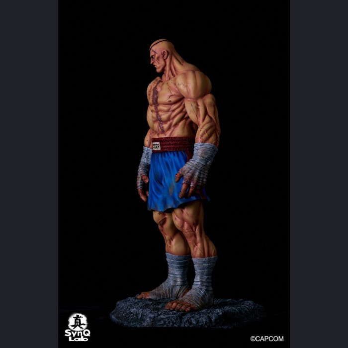 SynQ Lab Collectable - Sagat – Street Fighter II