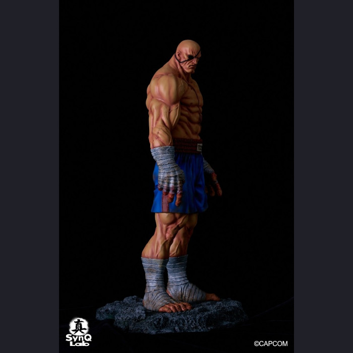 SynQ Lab Collectable - Sagat – Street Fighter II