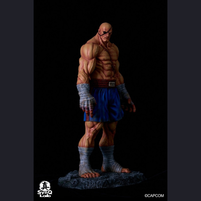 SynQ Lab Collectable - Sagat – Street Fighter II