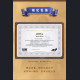 HEX Collectibles - Varian Wrynn Frame