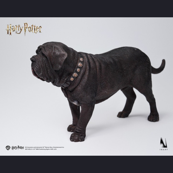 INART - Draco Malfoy – Harry Porter