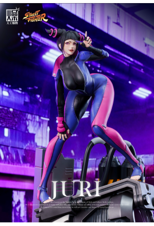 TIAN GONG ZAO WU (天工燥物) - Han Juri – Street Fighter