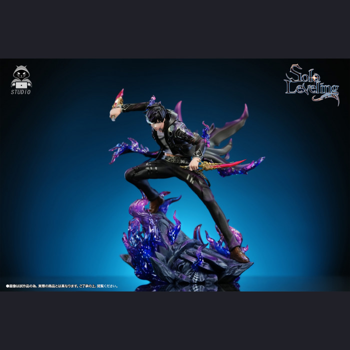 Black Panther Studio - Sung Jin-Woo - Solo Leveling