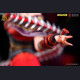 模玩科技 - Crimson Lotus – The Legend of Qin