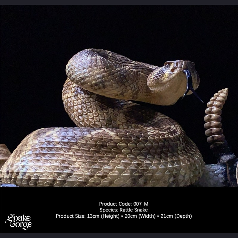 Snake Gorge - Crotalus atrox – Rattle Snake