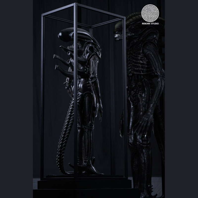 Reborn Studio - Museum Alien Big Chap