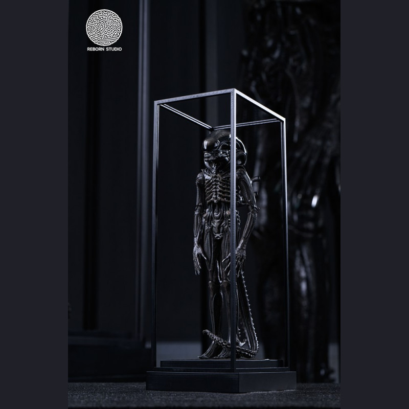 Reborn Studio - Museum Alien Big Chap