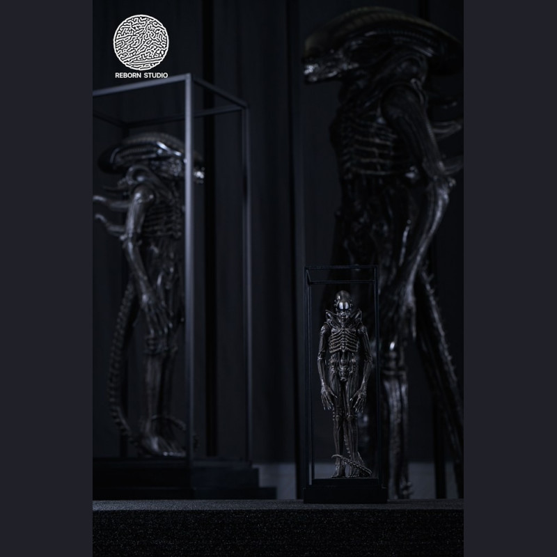 Reborn Studio - Museum Alien Big Chap