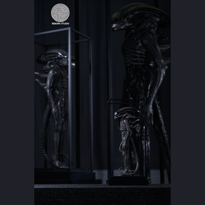 Reborn Studio - Museum Alien Big Chap