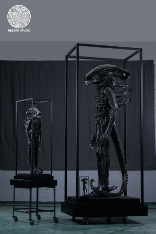 Reborn Studio - Museum Alien Big Chap