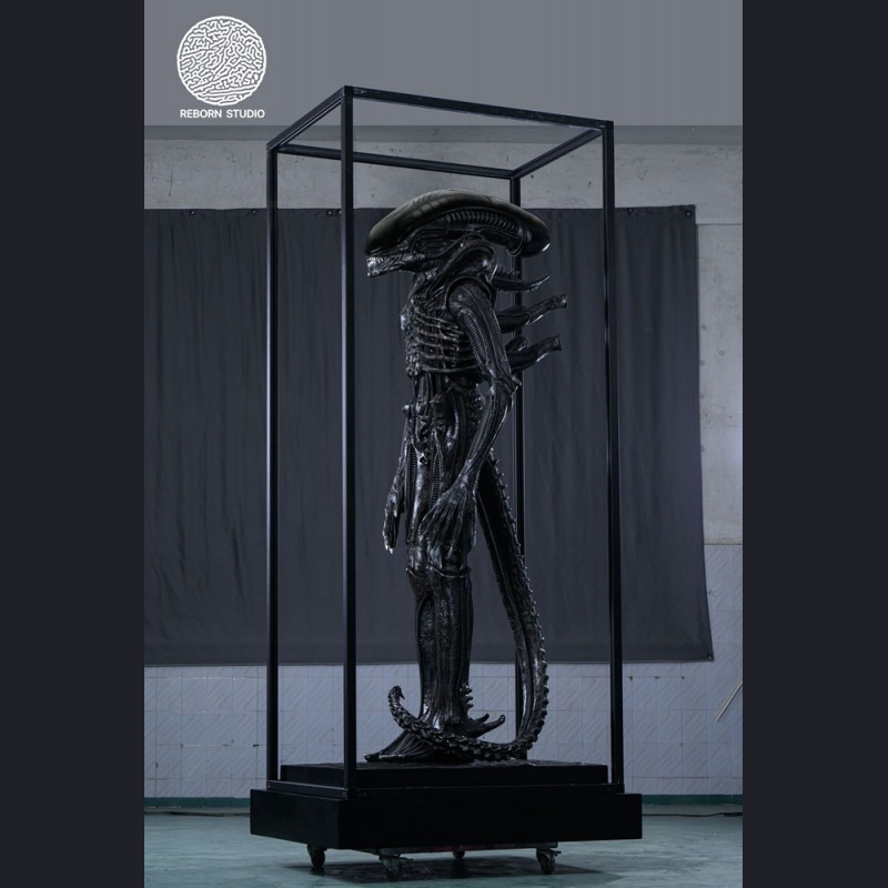 Reborn Studio - Museum Alien Big Chap
