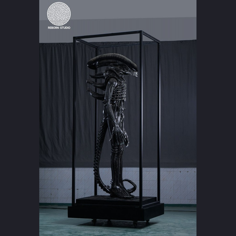 Reborn Studio - Museum Alien Big Chap