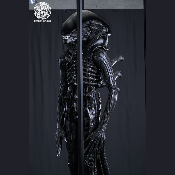 Reborn Studio - Museum Alien Big Chap