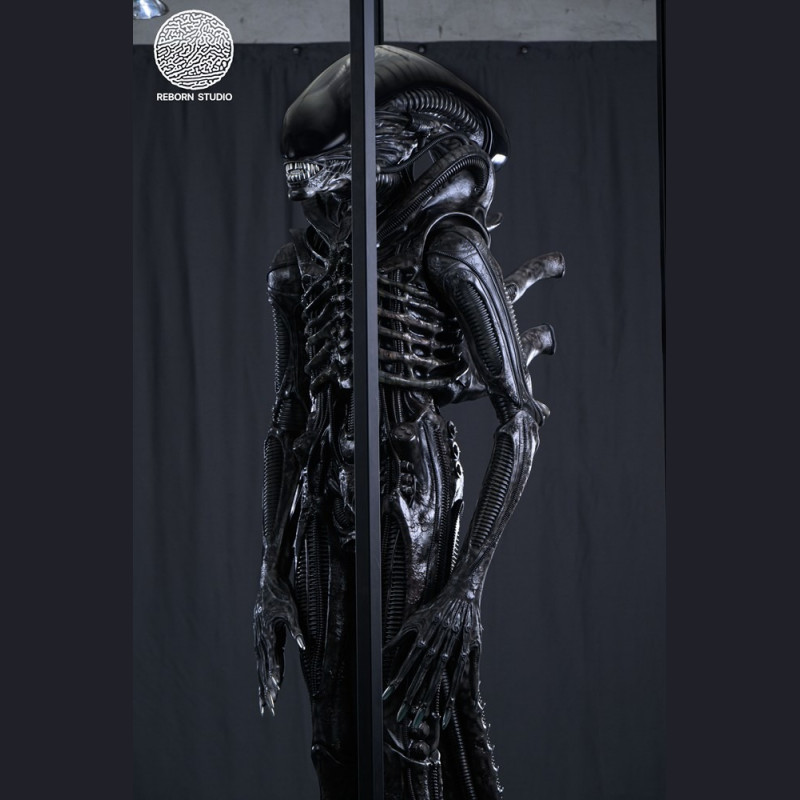 Reborn Studio - Museum Alien Big Chap
