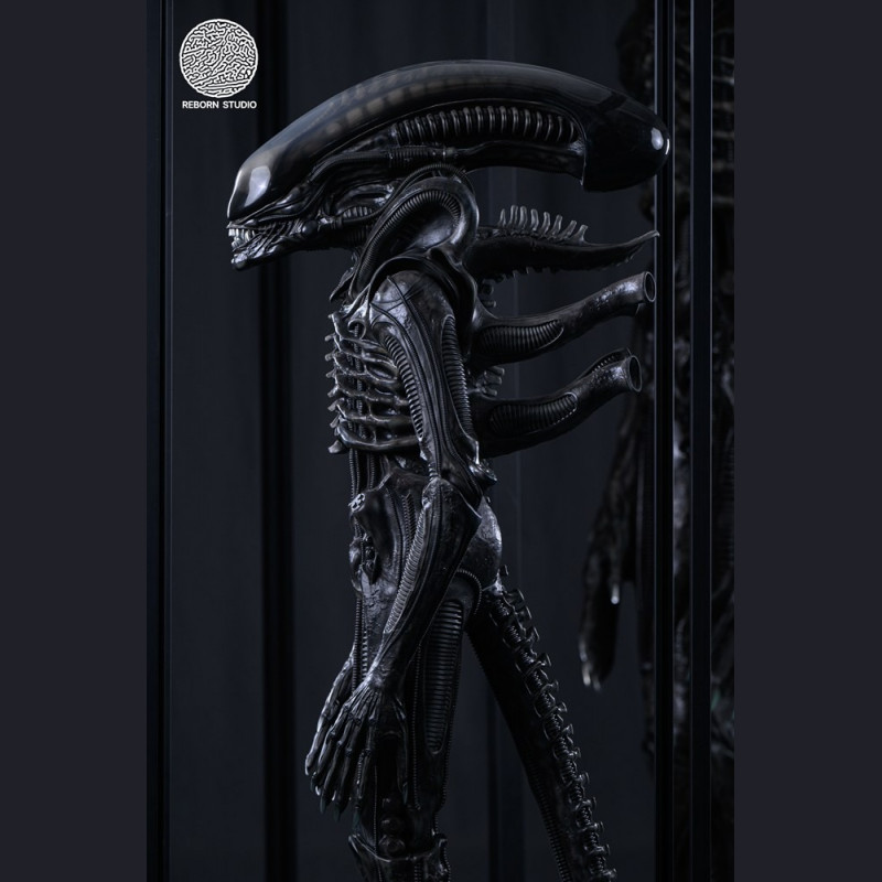 Reborn Studio - Museum Alien Big Chap
