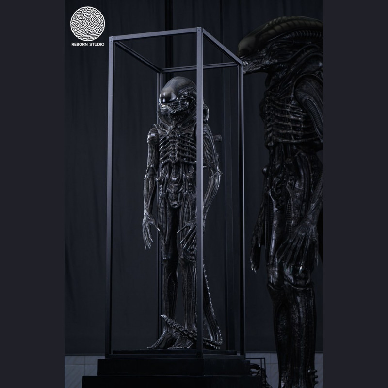 Reborn Studio - Museum Alien Big Chap