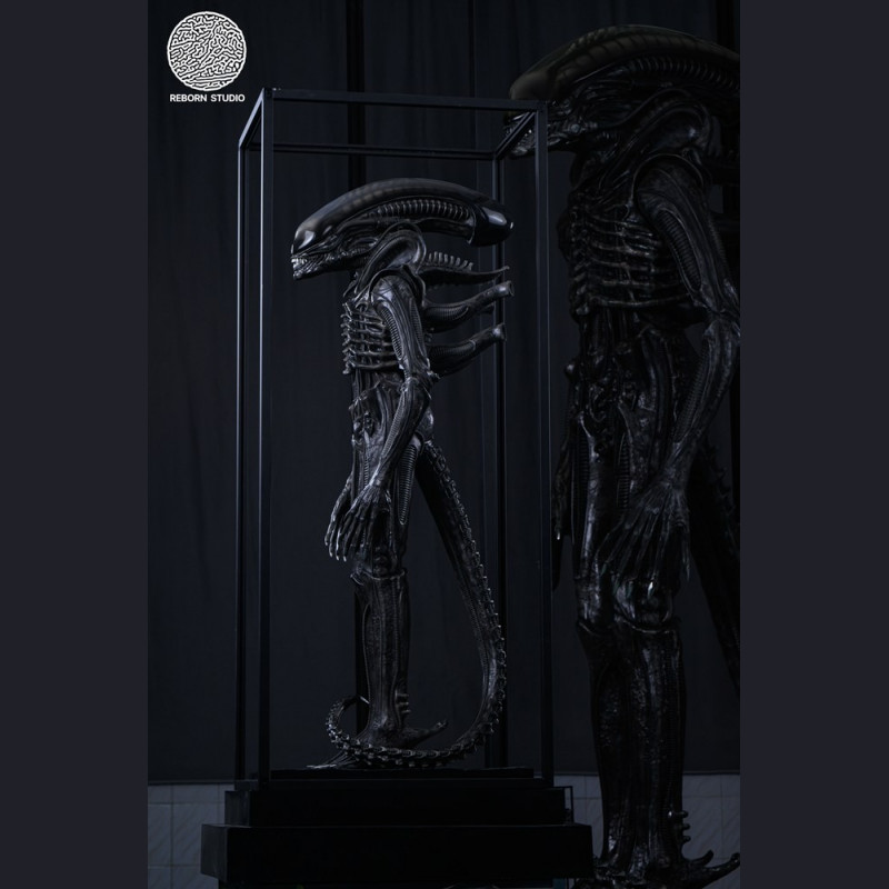 Reborn Studio - Museum Alien Big Chap