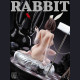 TIAN GONG ZAO WU (天工造物) - Zhang Min & Bai Jie – Rabbit Bunny Girl